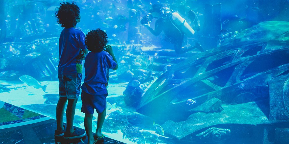 Kids Observing Big Aquarium